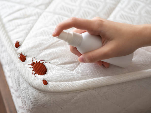 Best Real Estate Pest Inspections  in Denham Springs, LA